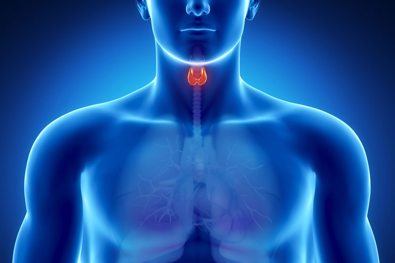Thyroid symptoms
