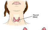 types-of-thyroid-cancer-thumb