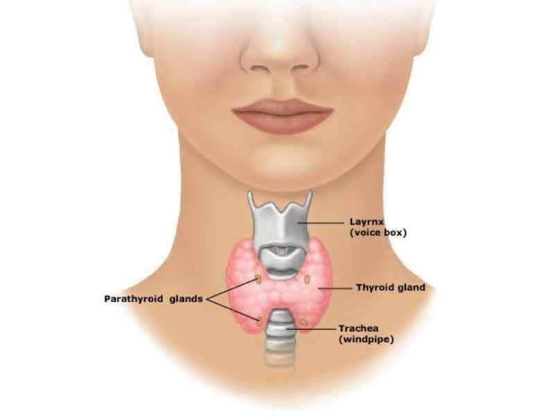 minimally-invasive-parathyroid-surgery