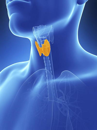 thyroid-disorder-triggers-trouble-for-the-eyes