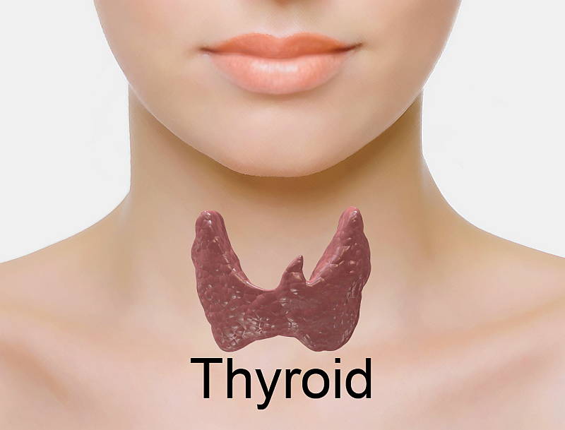 iodine-thyroid-hormones