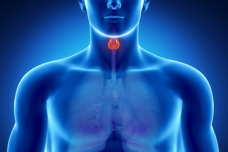 the-diagnosis-of-thyroid-cancer