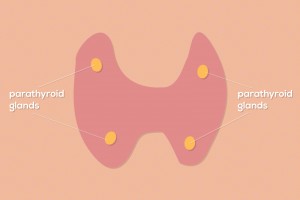 Symptoms-of-Hyperparathyroidism